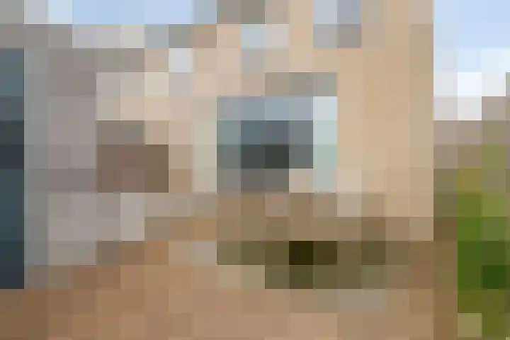 Appelgaard 2 C Heerjansdam thumbnail 25
