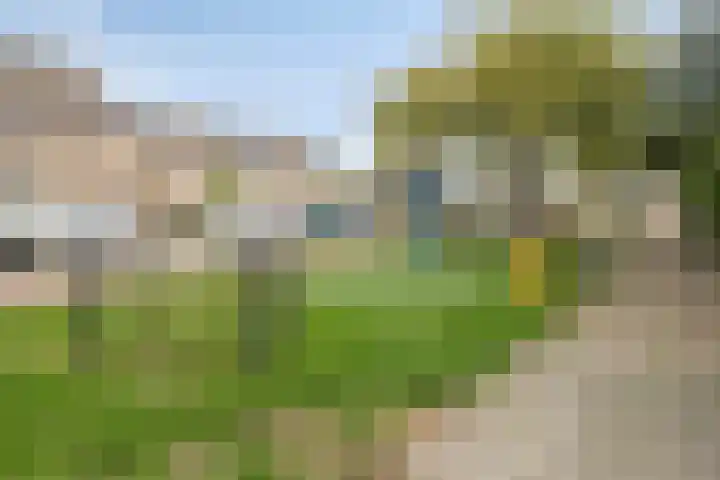 Appelgaard 2 C Heerjansdam thumbnail 29