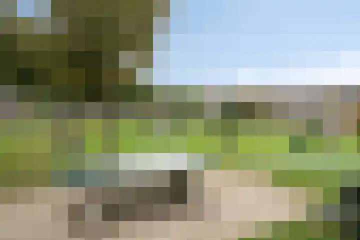 Appelgaard 2 C Heerjansdam thumbnail 30