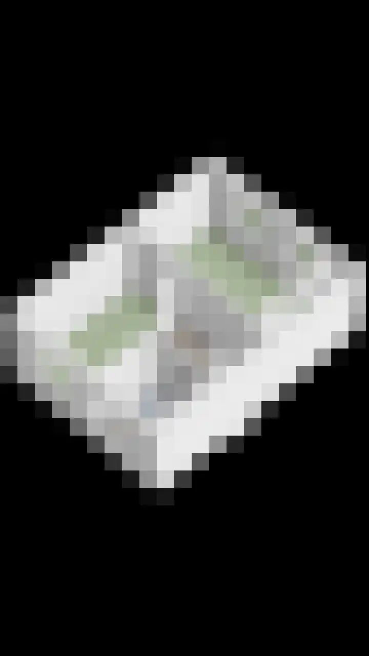 Appelgaard 2 C Heerjansdam thumbnail 36