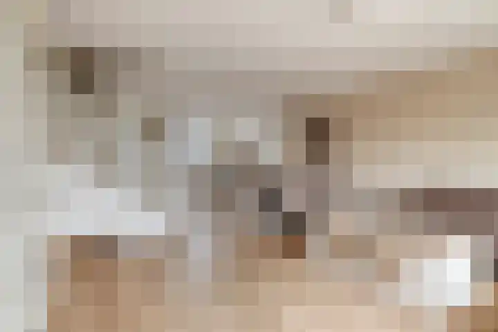 Appelgaard 2 C Heerjansdam thumbnail 7