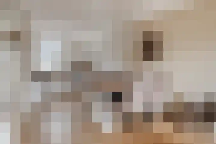 Appelgaard 2 C Heerjansdam thumbnail 8