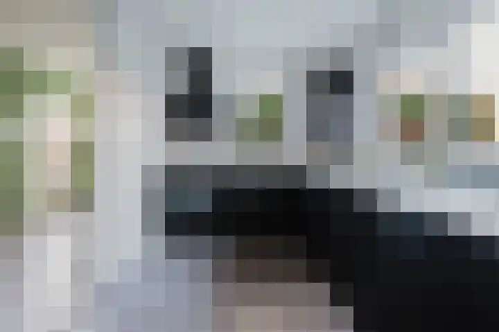 Appelgaard 28 Spijkenisse thumbnail 12