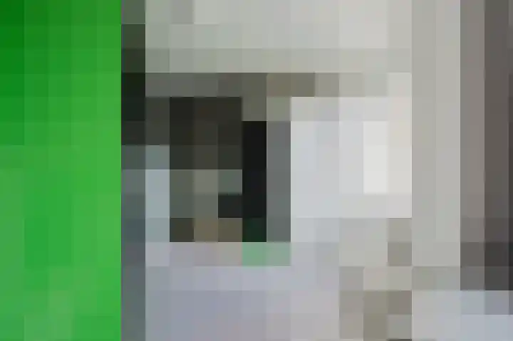 Appelgaard 28 Spijkenisse thumbnail 16