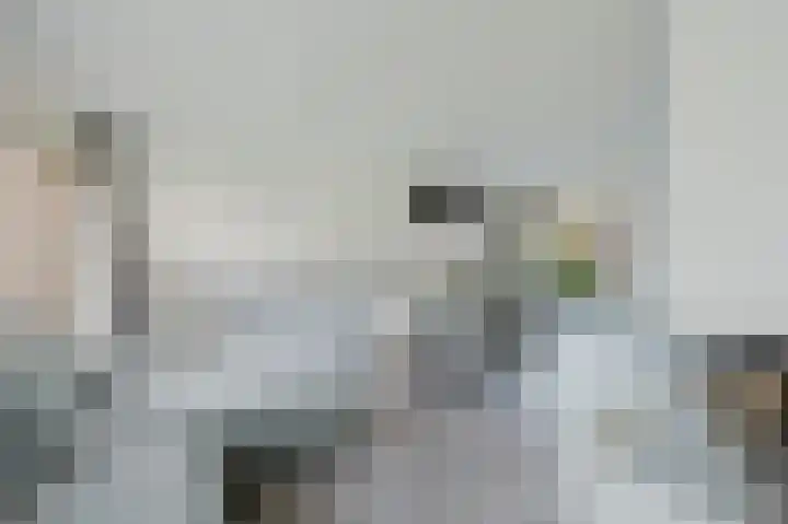 Appelgaard 28 Spijkenisse thumbnail 17