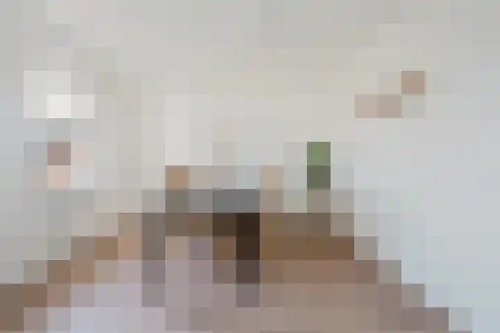 Appelgaard 28 Spijkenisse thumbnail 23