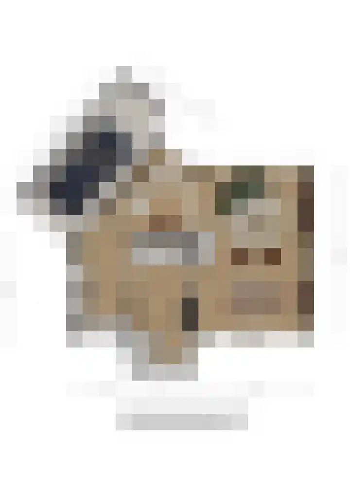 Appelgaard 28 Spijkenisse thumbnail 9