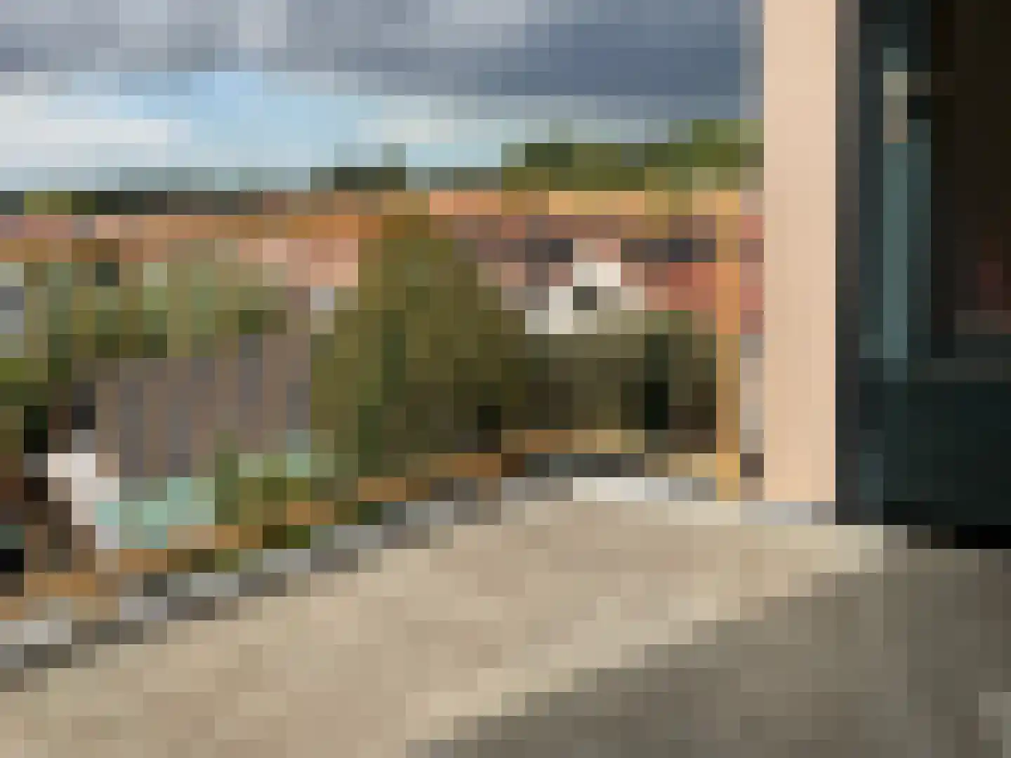 Appelgaard 32 Kapelle thumbnail 7