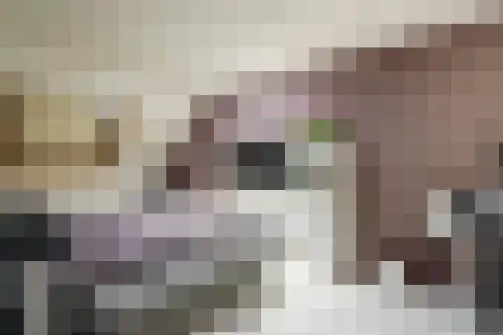 Appelgaard 35 Spijkenisse thumbnail 16
