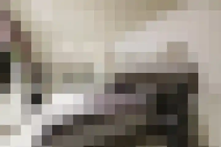 Appelgaard 35 Spijkenisse thumbnail 17