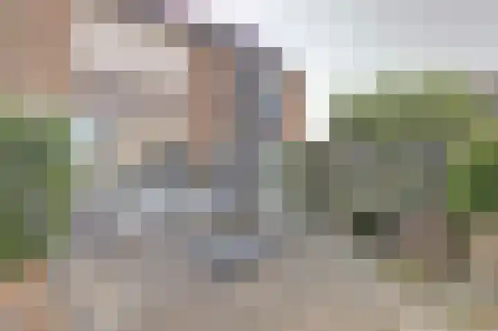 Appelgaard 35 Spijkenisse thumbnail 21