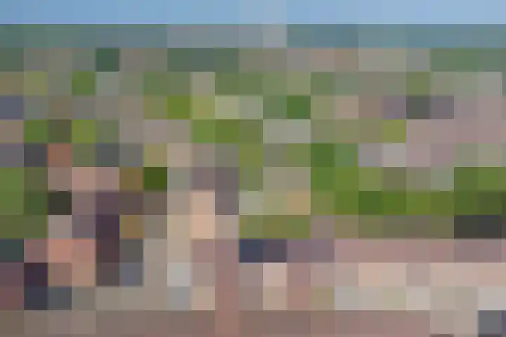 Appelgaard 35 Spijkenisse thumbnail 28