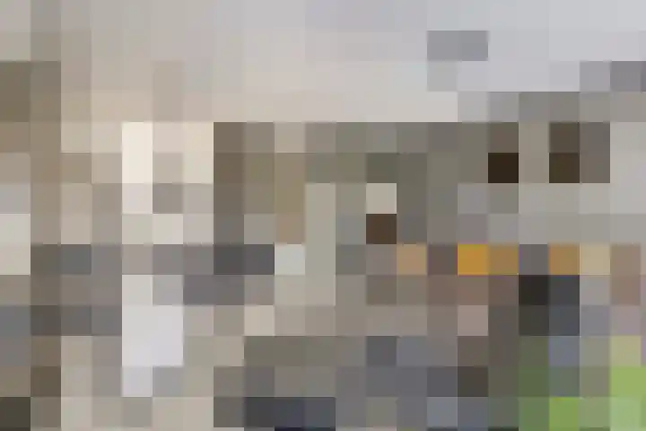 Appelgaard 35 Spijkenisse thumbnail 4