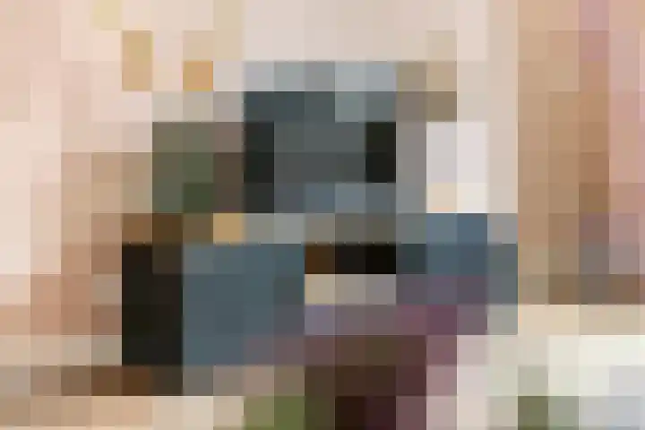 Appelgaard 46 Lienden thumbnail 13