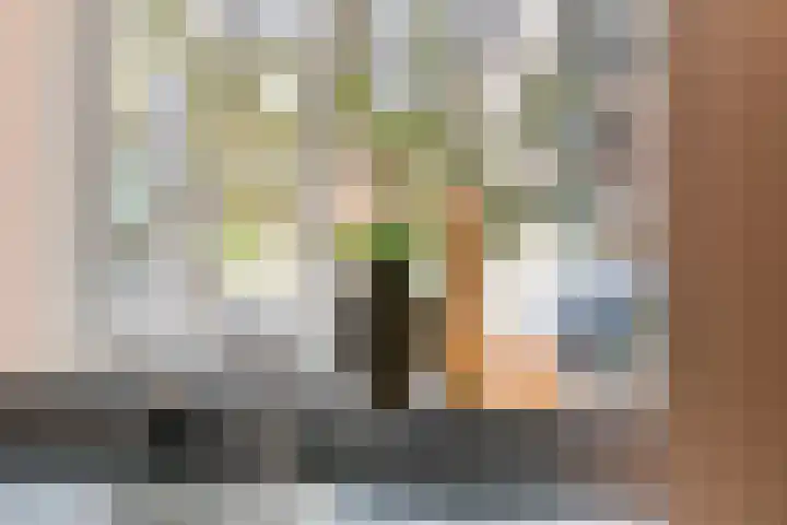 Appelgaard 46 Lienden thumbnail 21