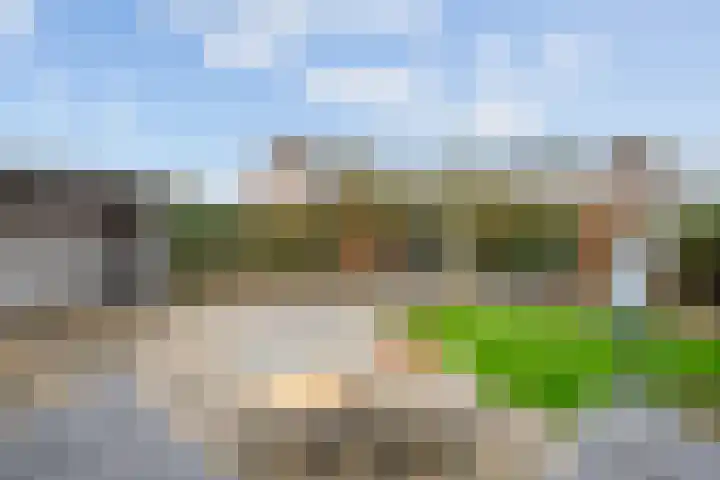 Appelgaard 46 Lienden thumbnail 44