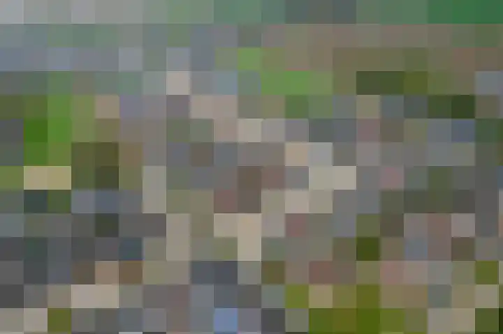Appelgaard 46 Lienden thumbnail 46