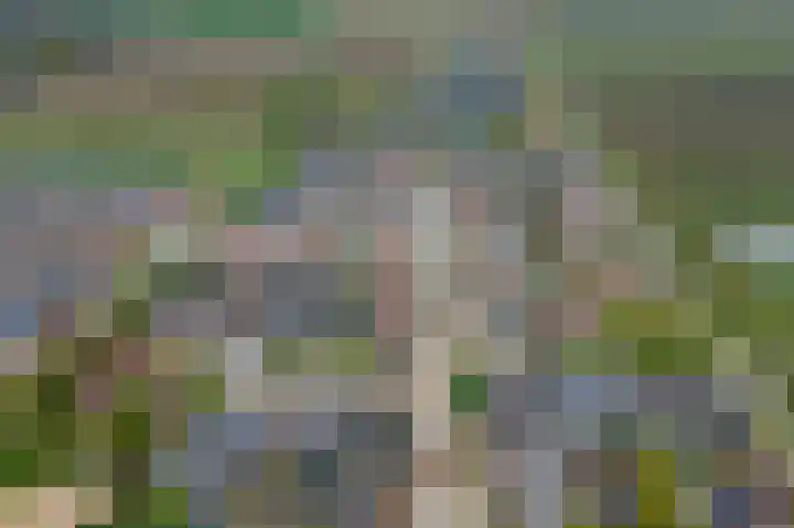 Appelgaard 46 Lienden thumbnail 47