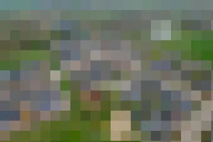 Appelgaard 46 Lienden thumbnail 48