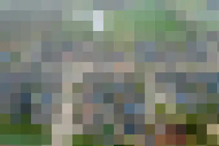 Appelgaard 46 Lienden thumbnail 49