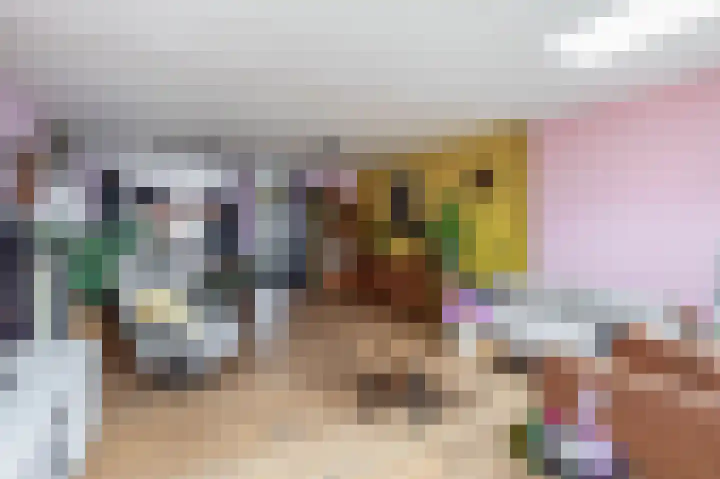 Appelgaard 47 Spijkenisse thumbnail 12