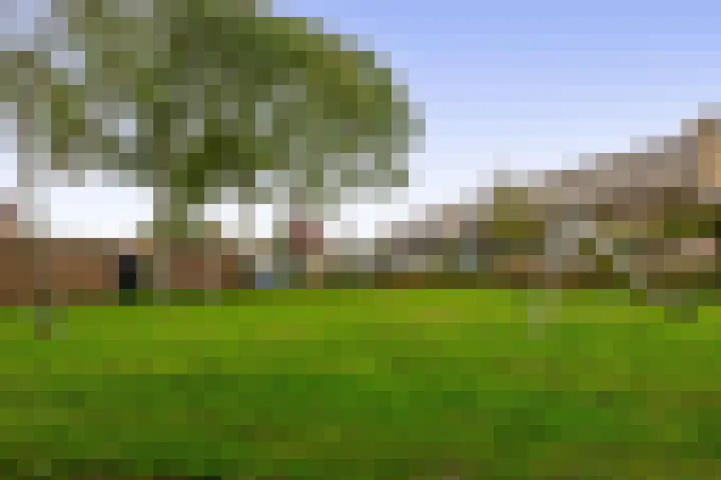 Appelgaard 47 Spijkenisse thumbnail 39