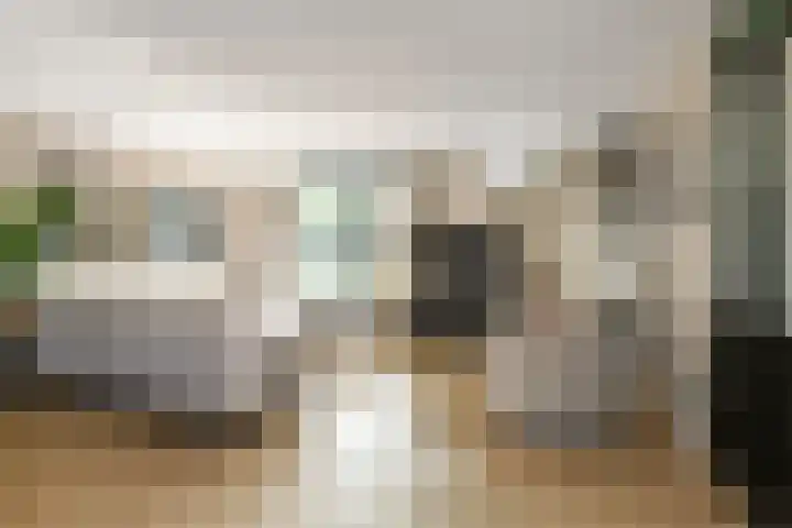 Appelgaard 48 Elst thumbnail 17