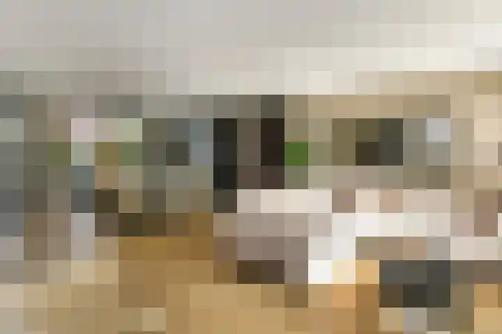 Appelgaard 48 Elst foto 2