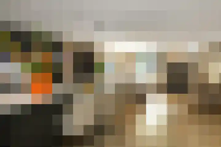 Appelgaard 48 Elst thumbnail 23