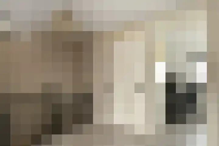 Appelgaard 48 Elst thumbnail 30