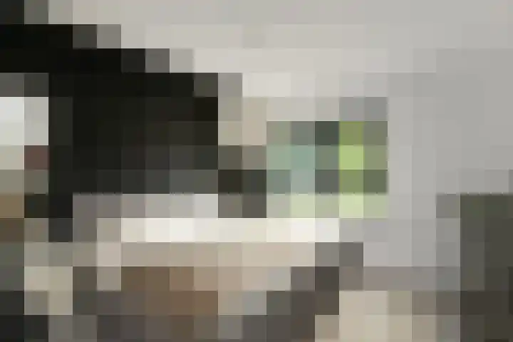 Appelgaard 48 Elst thumbnail 32