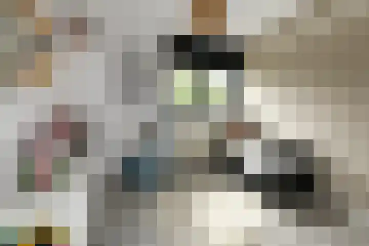 Appelgaard 48 Elst thumbnail 35
