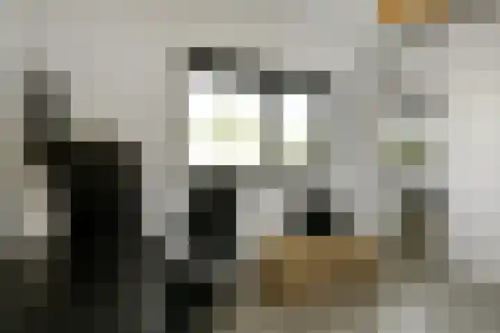 Appelgaard 48 Elst thumbnail 38