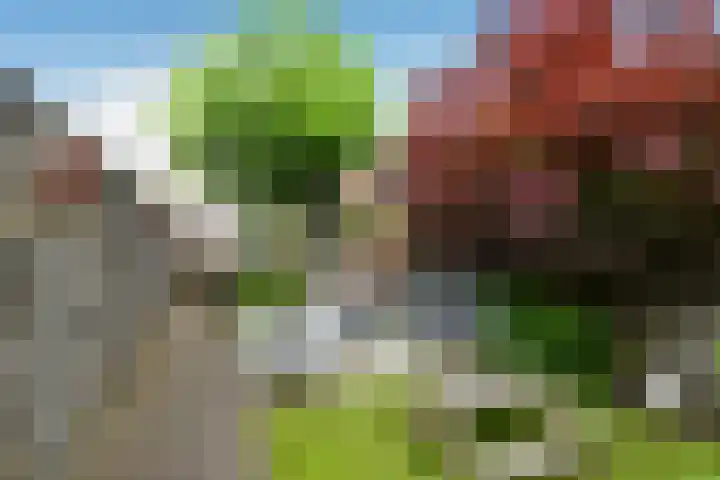 Appelgaard 48 Elst thumbnail 46