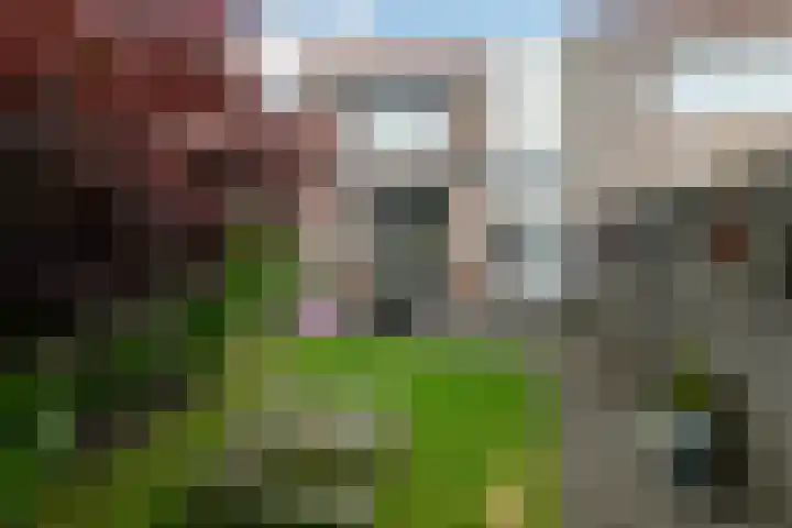 Appelgaard 48 Elst thumbnail 47