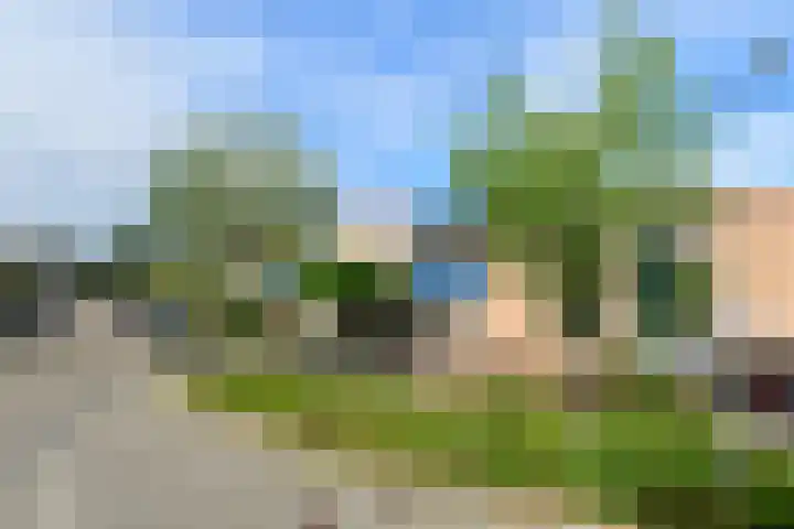 Appelgaard 48 Elst thumbnail 7