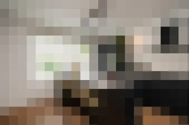 Appelgaard 5 Bodegraven thumbnail 11