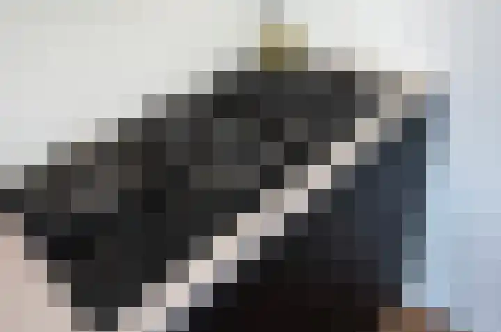 Appelgaard 5 Bodegraven thumbnail 14