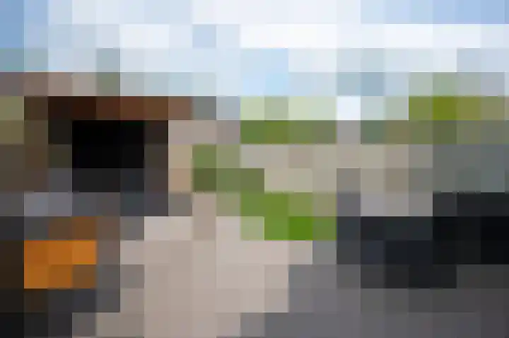 Appelgaard 5 Bodegraven thumbnail 19