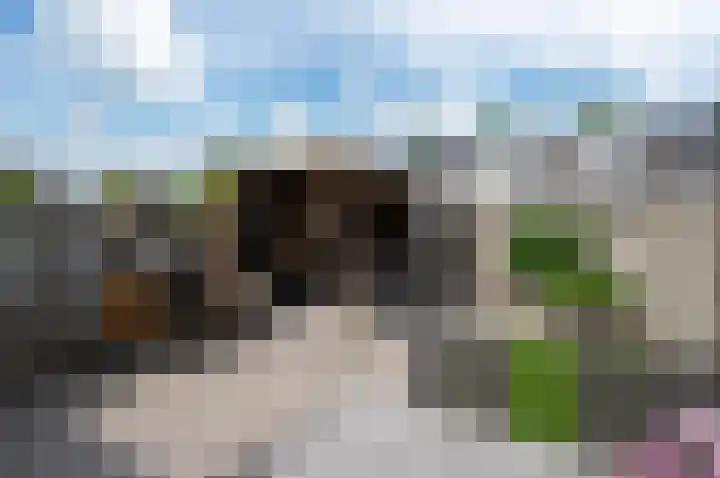 Appelgaard 5 Bodegraven thumbnail 20