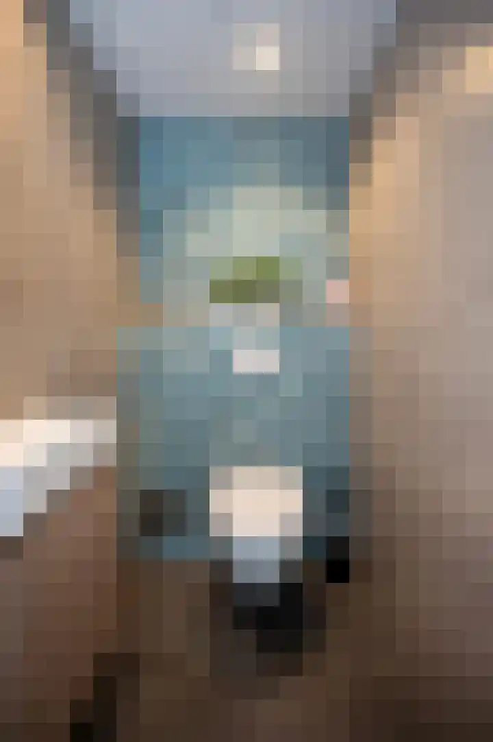 Appelgaard 5 Bodegraven thumbnail 25