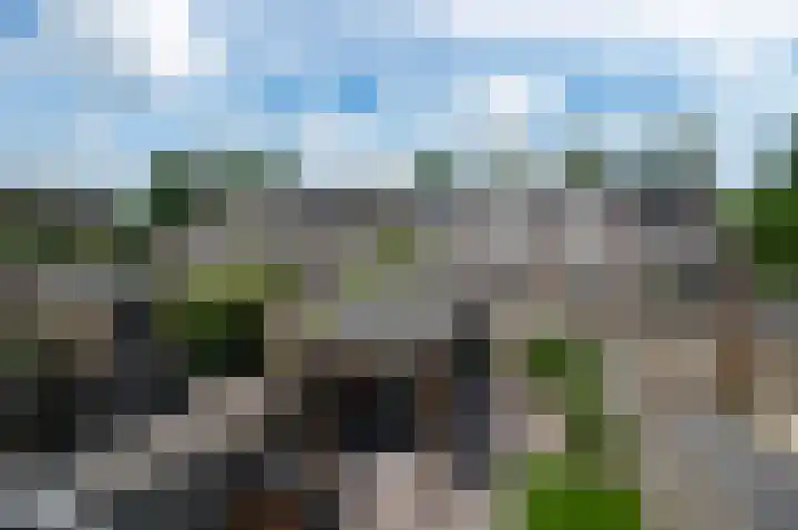 Appelgaard 5 Bodegraven thumbnail 28