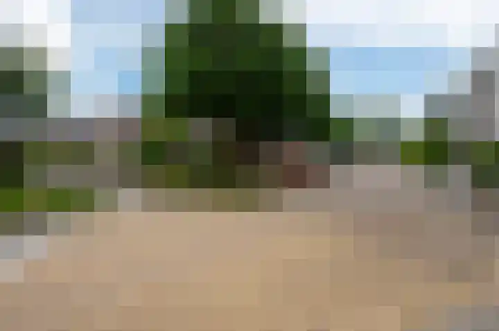 Appelgaard 5 Bodegraven thumbnail 45