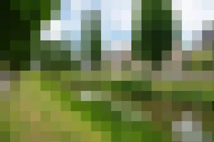 Appelgaard 5 Bodegraven thumbnail 46