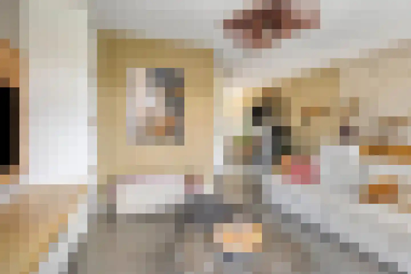 Appelgaard 5 Nieuw-Beijerland thumbnail 12