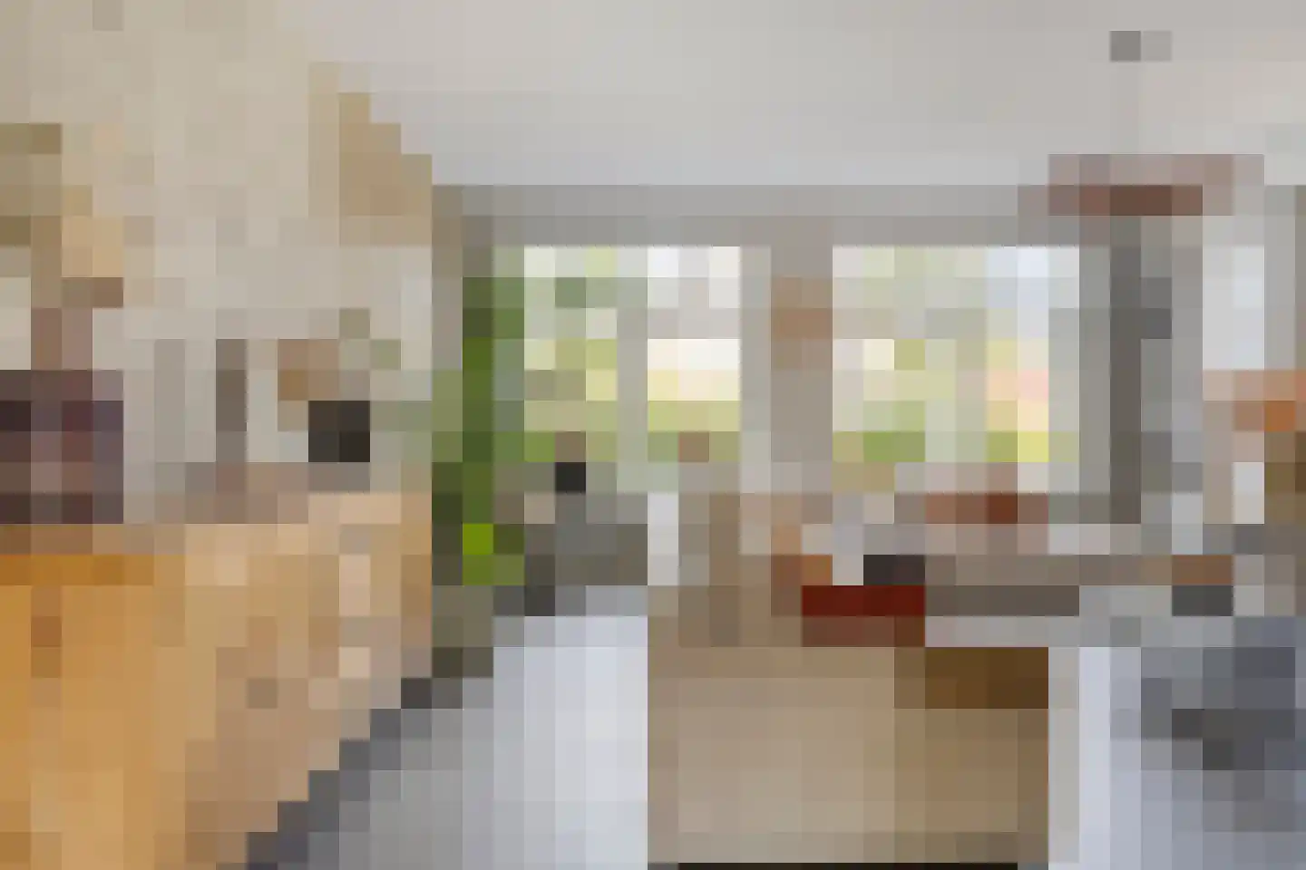 Appelgaard 5 Nieuw-Beijerland thumbnail 14