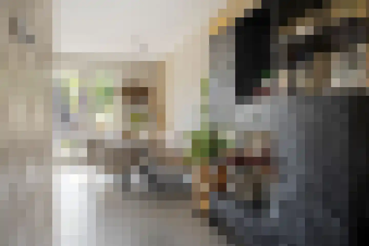 Appelgaard 5 Nieuw-Beijerland thumbnail 15