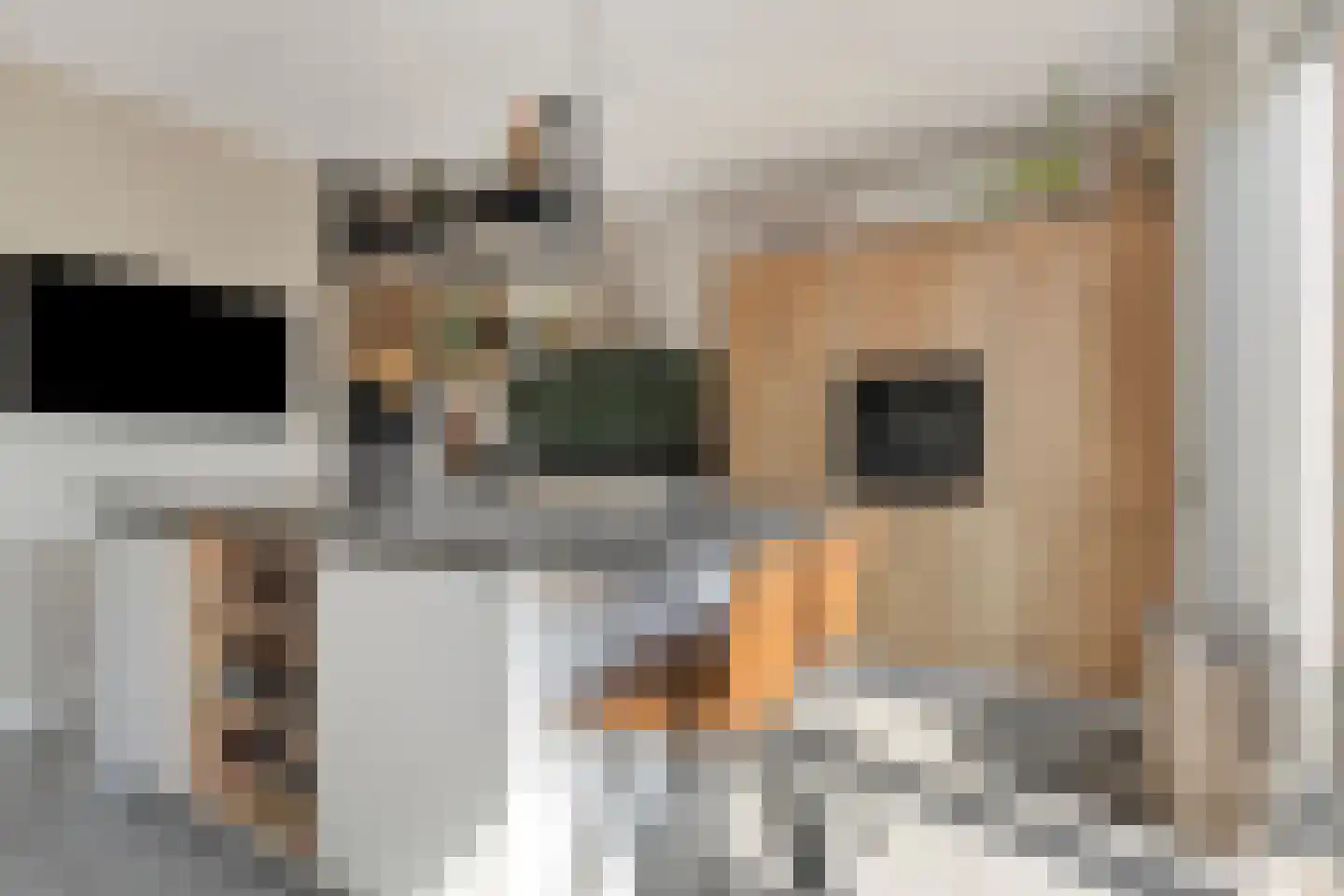 Appelgaard 5 Nieuw-Beijerland thumbnail 20