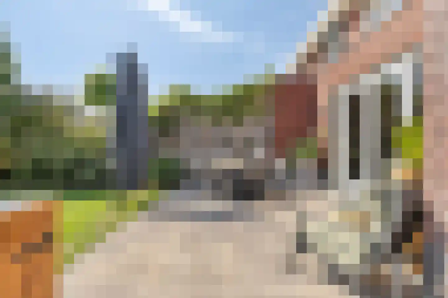 Appelgaard 5 Nieuw-Beijerland thumbnail 23
