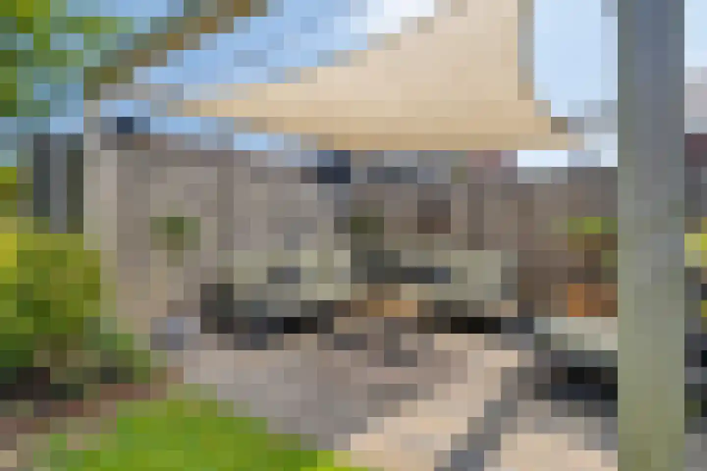 Appelgaard 5 Nieuw-Beijerland thumbnail 27